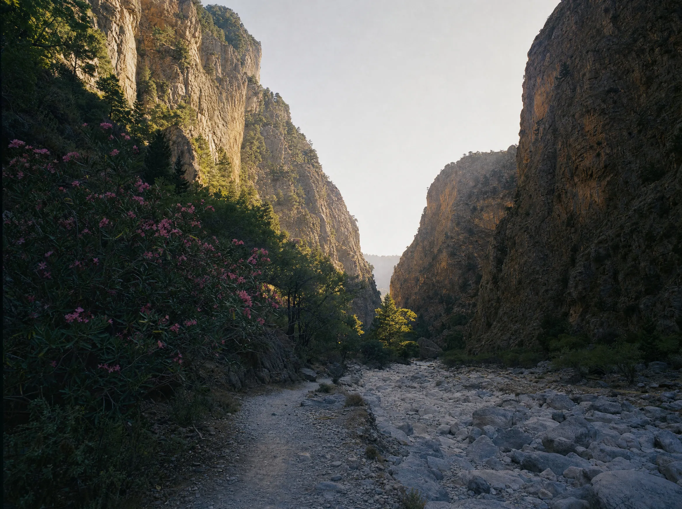 Bergige Schluchtenlandschaft